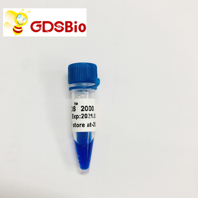 DNA-Marker-Gel-Elektrophorese 2000 hoher Reinheitsgrad-Reagenzien LD DS 60 Vorbereitungen