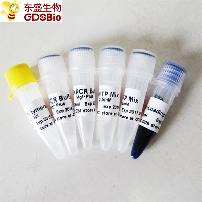 Taq GDSBio-hoher Qualität DNA-Polymerase P1014 1000U